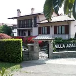 Azalea