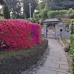 Azalea 3* San Fermo della Battaglia