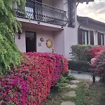 Azalea