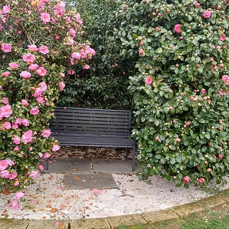Resort Azalea 3*