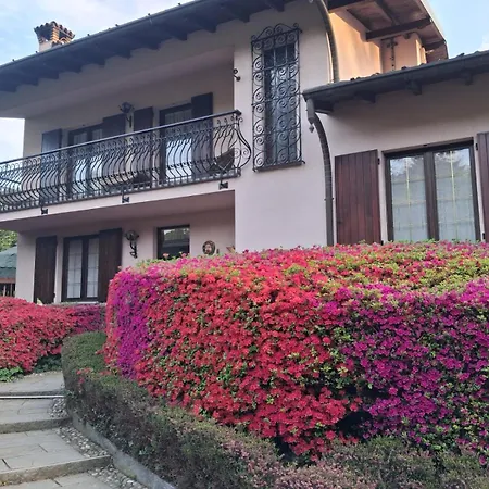 Resort Azalea