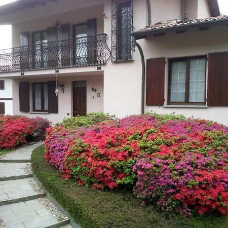 Resort Azalea
